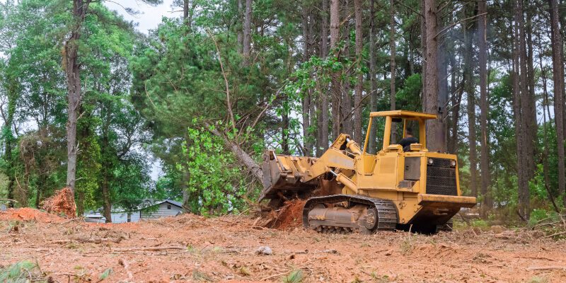 Three Ways Land Clearing Helps Prevent Drainage Problems